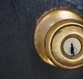 Dorringto Nest Ates