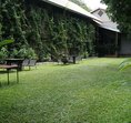 Dorringto Nest Ates