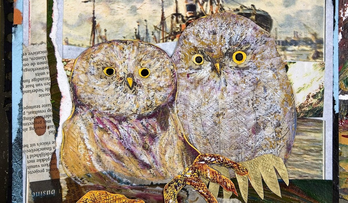 Dorringto Nest Ates